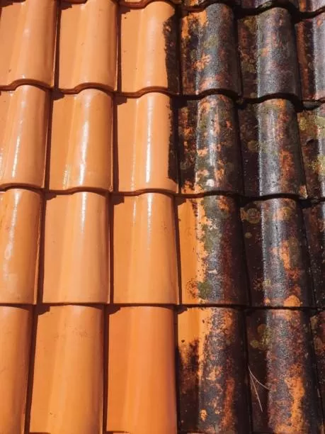 Professionnel pour nettoyage de toiture à Pélissanne, Pélissanne, Artisan Lorot
